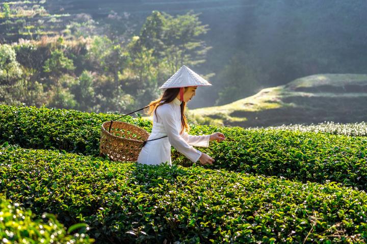 Gỗ và Video: Kết nối nghệ thuật truyền thống với công nghệ hiện đại