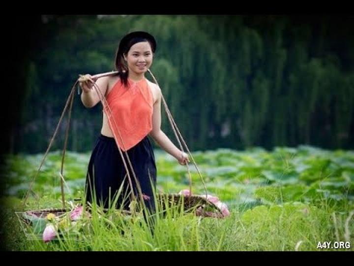 Xu hướng Bùng nổ phong cách cùng bộ: Hotspot Matrix tiết lộ bí quyết video viral