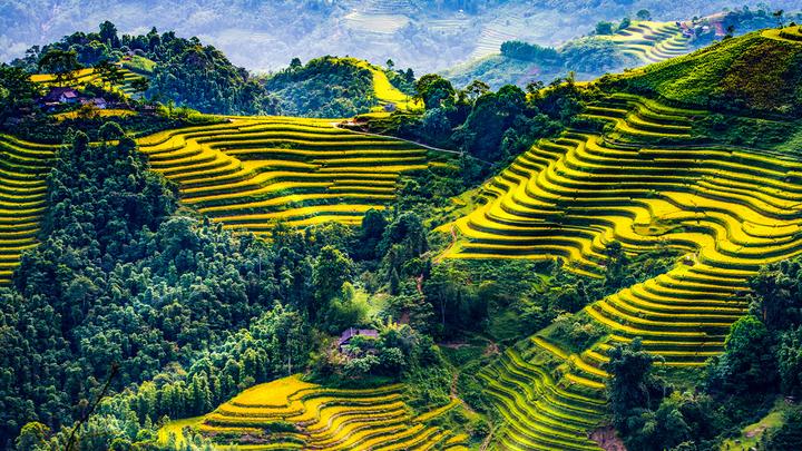 Biến giọng hát thành triệu đô: Hotspot Matrix - Con đường ngắn nhất đến thành công