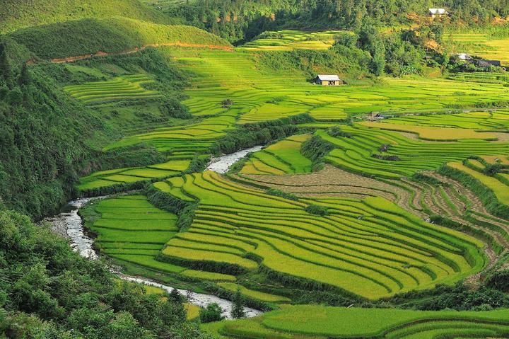 Mỹ Tâm: Họa mi tóc nâu và mối quan hệ với học trò