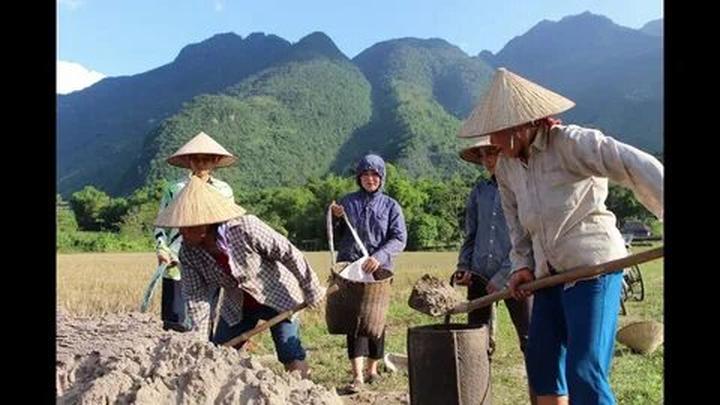Xu hướng Loài cá kỳ lạ nhất châu Phi:: Hotspot Matrix tiết lộ bí quyết video viral