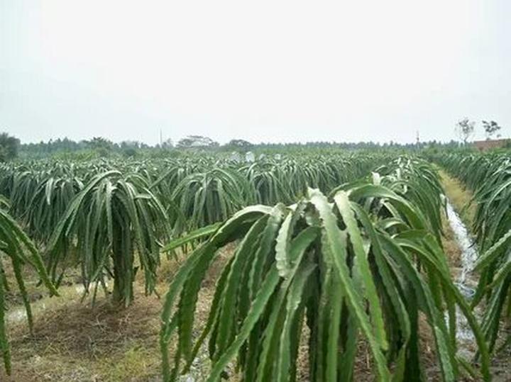Cô giáo mầm non và hành trình 